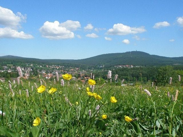 Harzpension Haus Koenigskopf 브라운라제 외부 사진